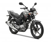 2013 Yamaha YBR125 photo